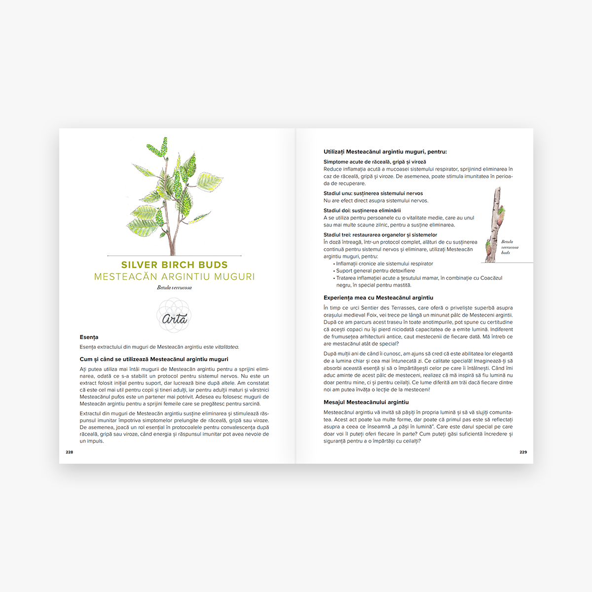 Arta & știința gemoterapiei